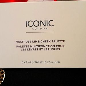 Iconic London aMulti use Lip and Cheek pallet.